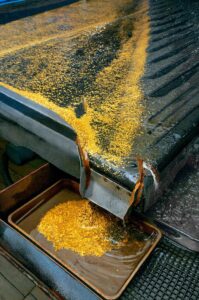 placer gold nuggets flakes shipping process